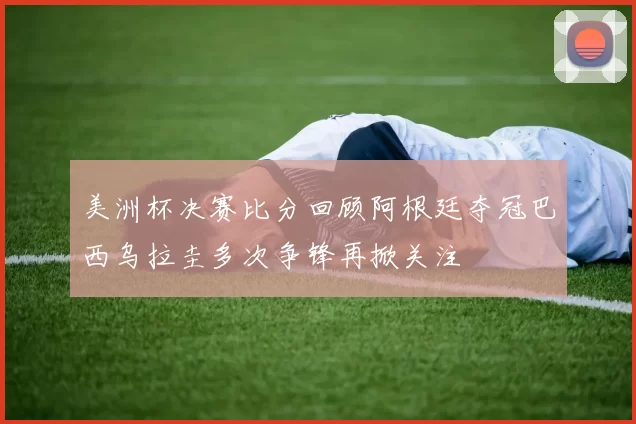 美洲杯决赛比分回顾阿根廷夺冠巴西乌拉圭多次争锋再掀关注