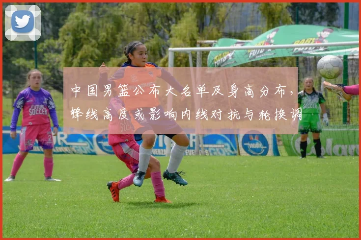 中国男篮公布大名单及身高分布,锋线高度或影响内线对抗与轮换调整
